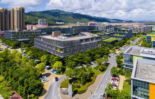 新奥彩免费提供资料新澳门|探秘未来科技新趋势_探险版Eleme.3.972