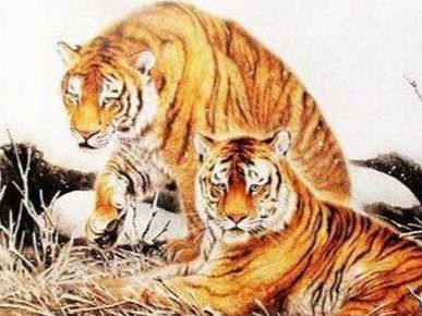 香港正版四不像生肖图软件更新时间|探索生活中的小奇迹_收藏集.5.865